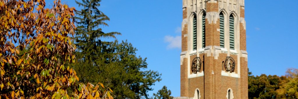SarahVerStrat's profile banner image