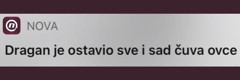 Dragan Maksimović banner