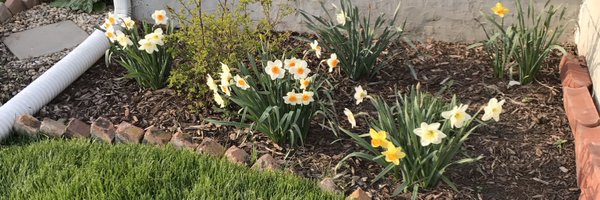 bayne0873 Profile Banner