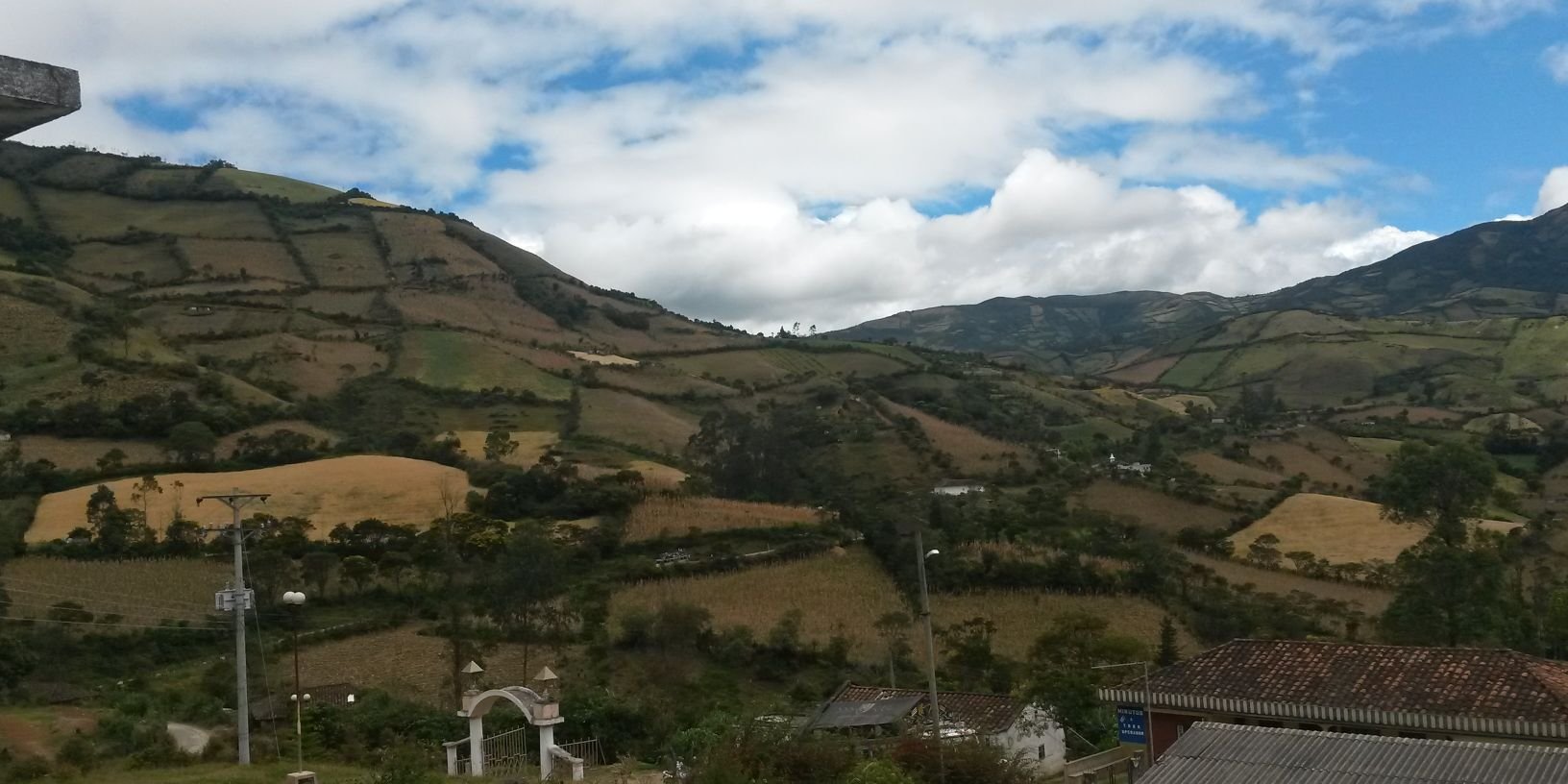 luis carlos banner