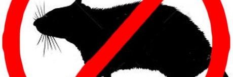 kponazo's profile banner image