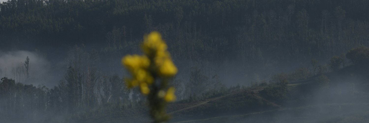 Pablo J. Rañales banner