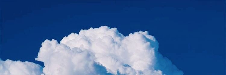 CherrySchnapps_'s profile banner image