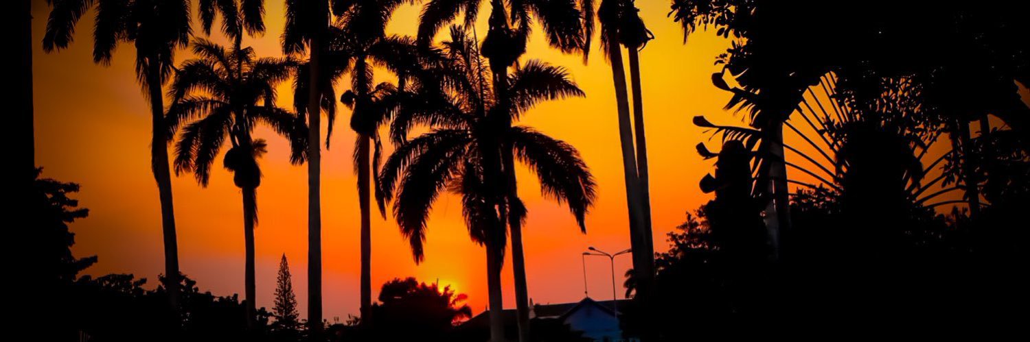 ICauele's profile banner image