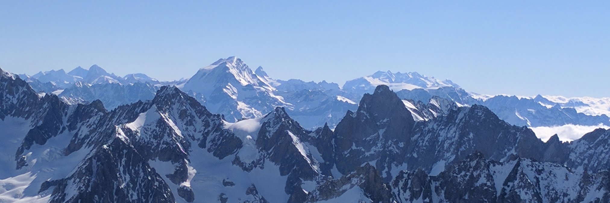 Dr Robert Williamson banner