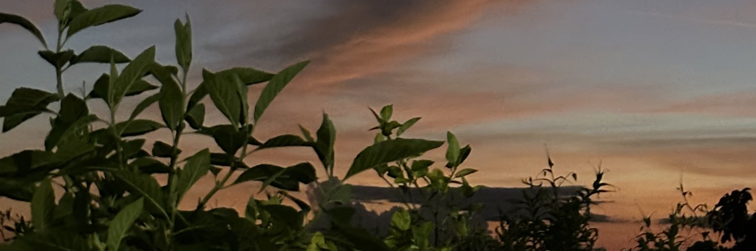 Sarah935's profile banner image