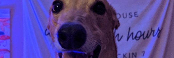 sidramatik Profile Banner