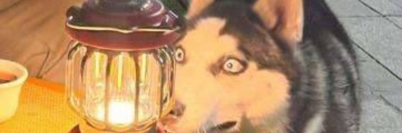 MDouzos19's profile banner image