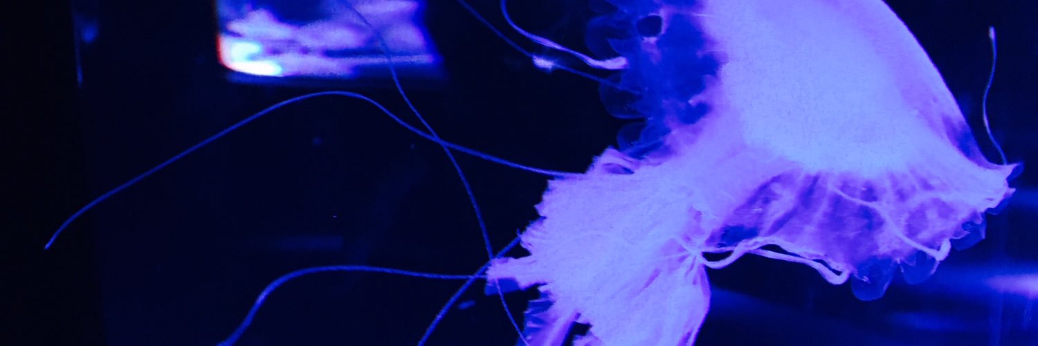 phazu8's profile banner image