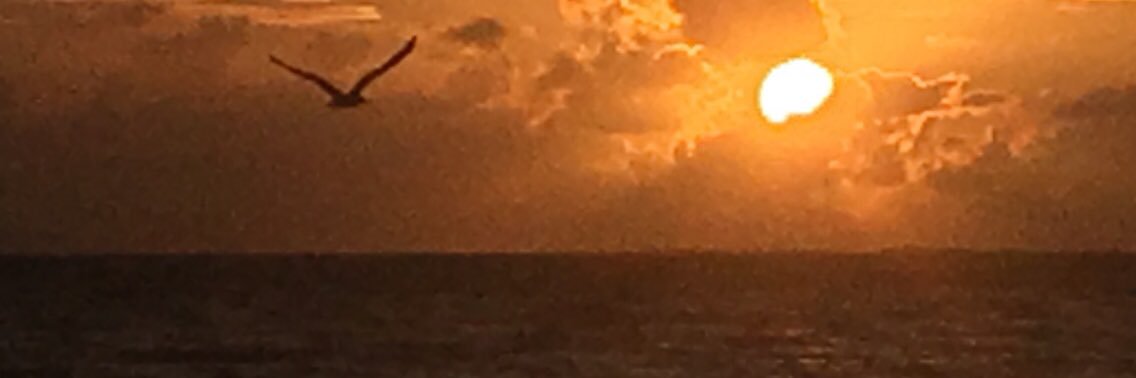 Mercedes Jiménez banner