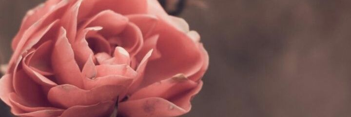EricaTopGrift's profile banner image