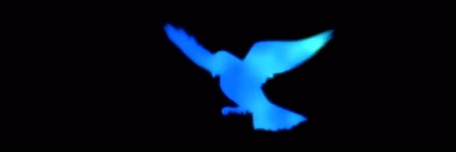 ProLyfe_'s profile banner image