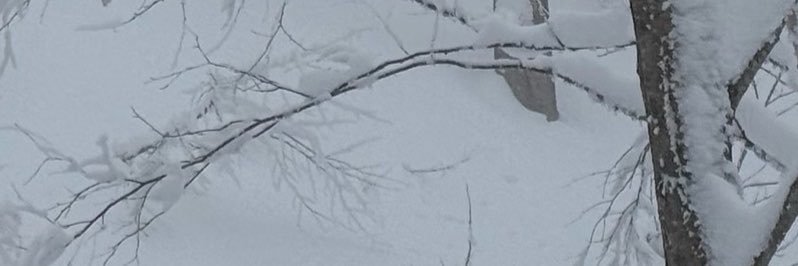 yoppy_drum's profile banner image