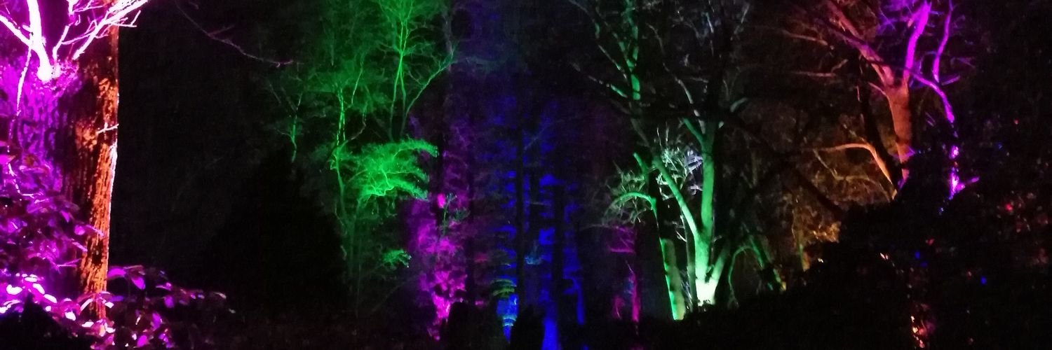 xdilax's profile banner image