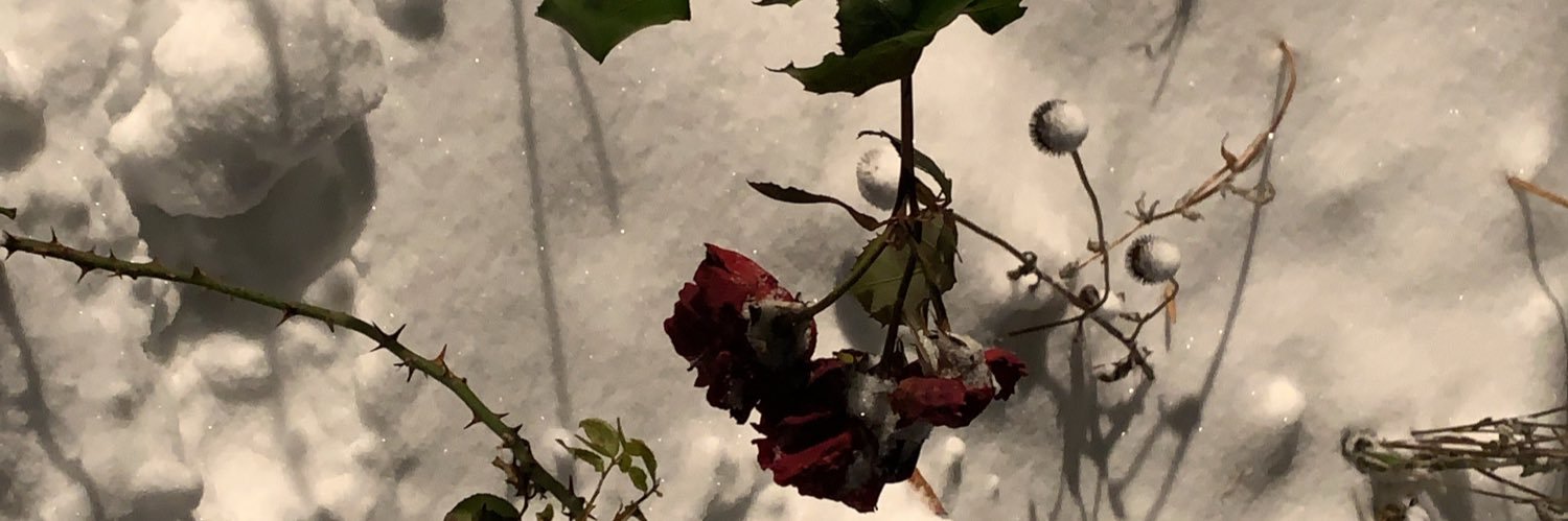 existentialchai's profile banner image