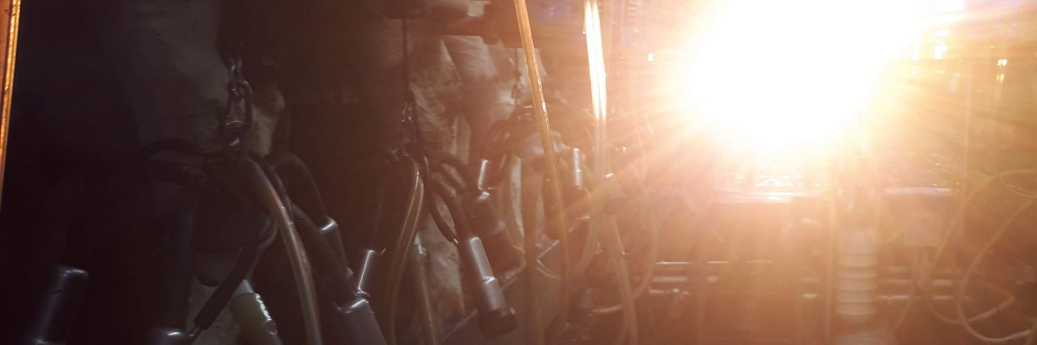 TBaas86's profile banner image