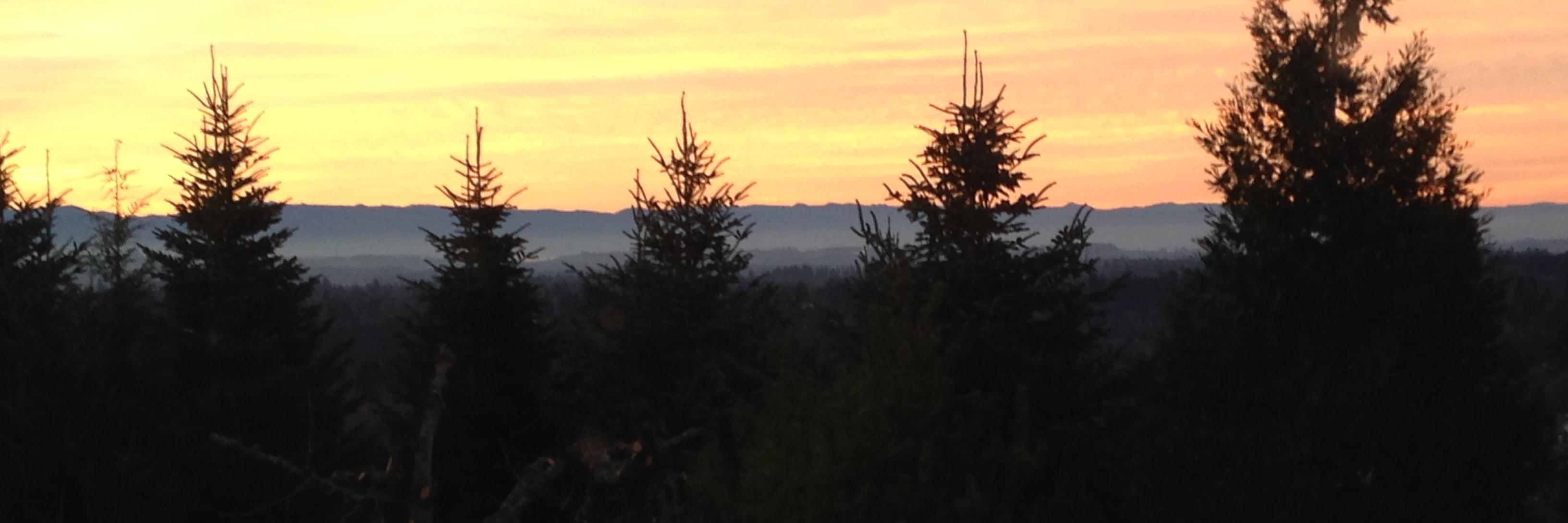 marcouxbeyer's profile banner image