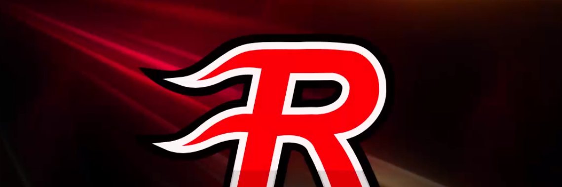 rapidinfosys's profile banner image