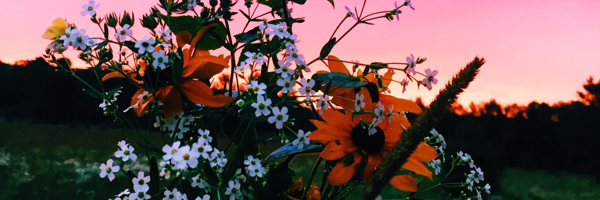 laureeodette's profile banner image