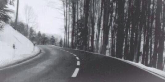 supportmagcults's profile banner image