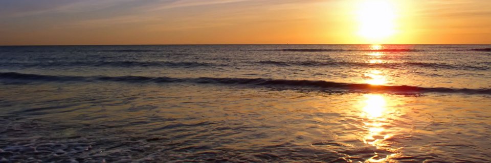 marenowsky's profile banner image