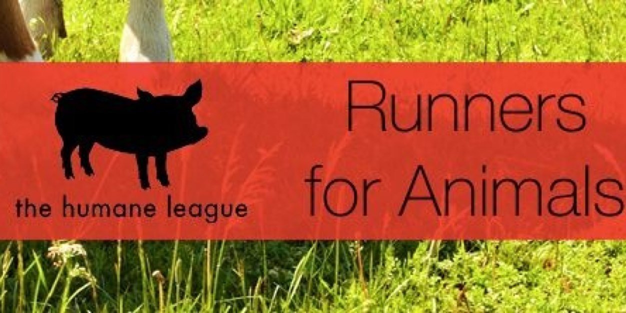 Run4AnimalsPHL's profile banner image