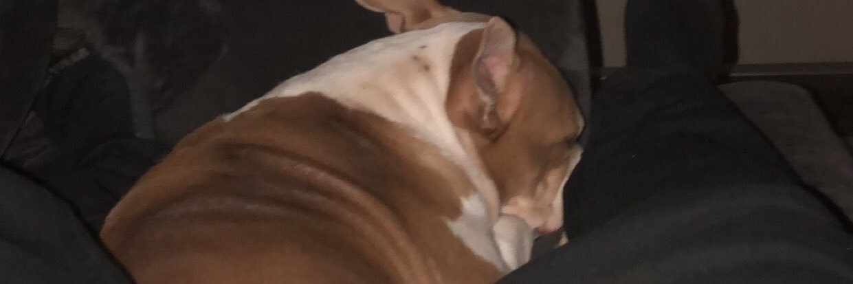 JACOB_310's profile banner image