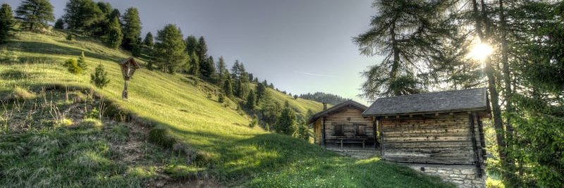 Marilee l Team Vigano l Christ is King banner