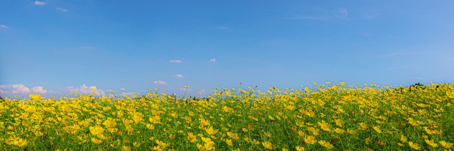 a_y_a____u's profile banner image