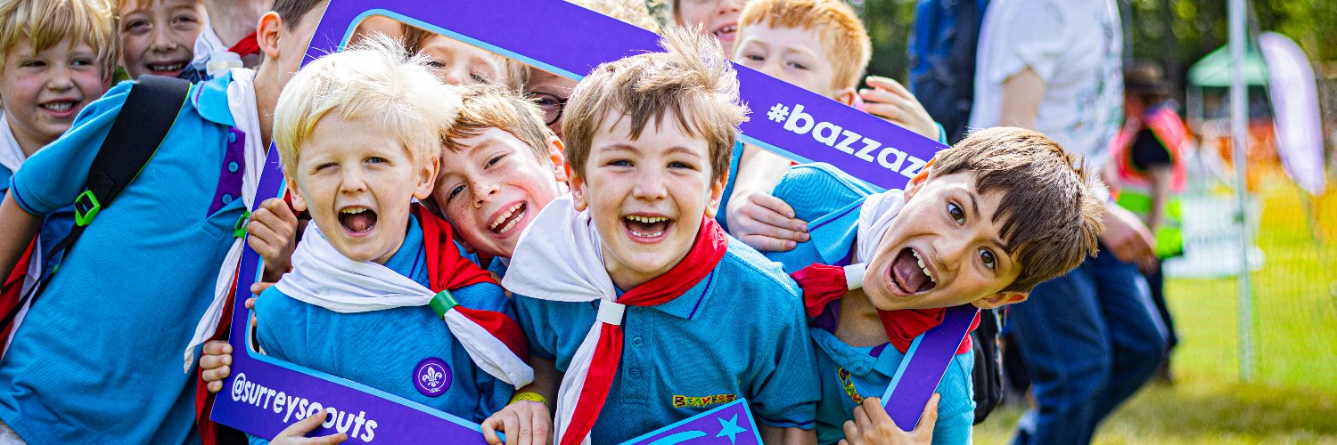 Surrey Scouts banner