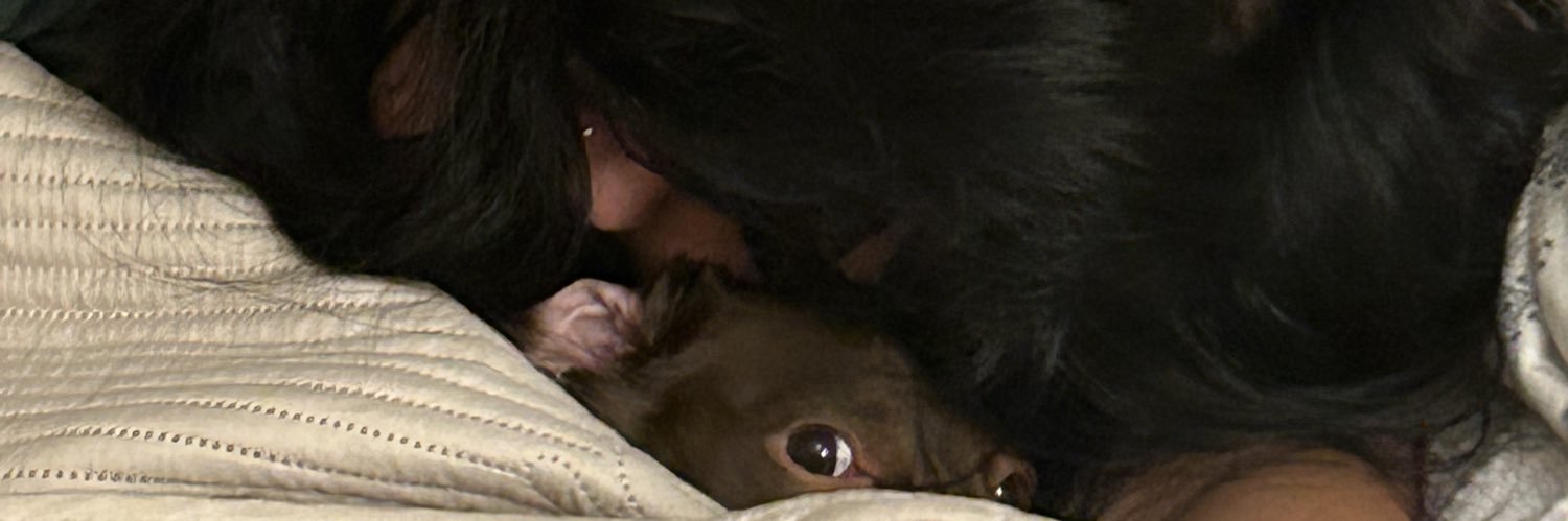 julienjarrett's profile banner image