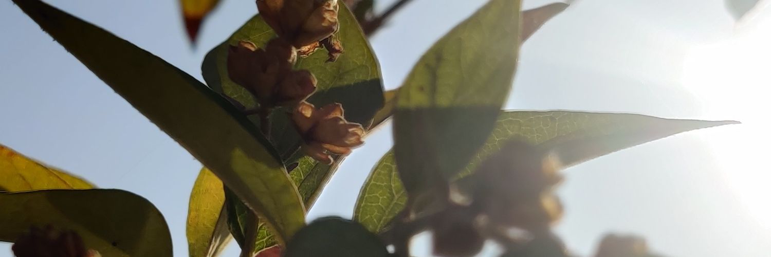 4j4y4u's profile banner image