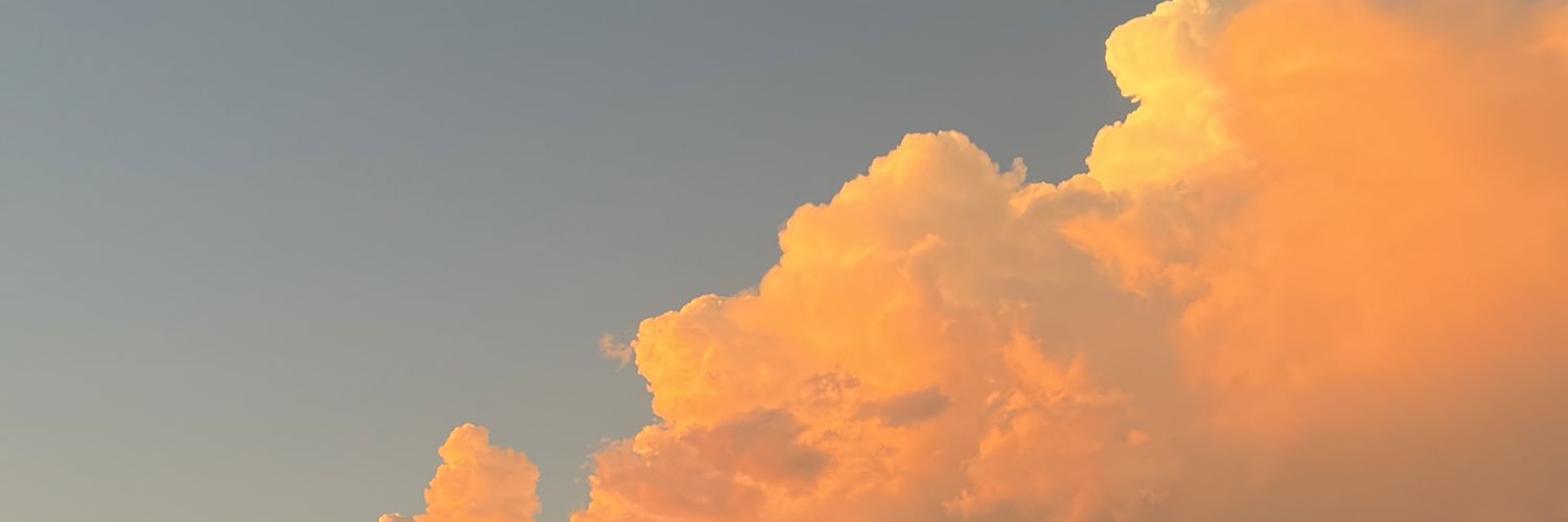 TaylorLeinani's profile banner image