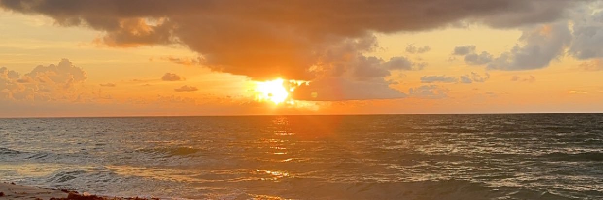 Alivanhess's profile banner image