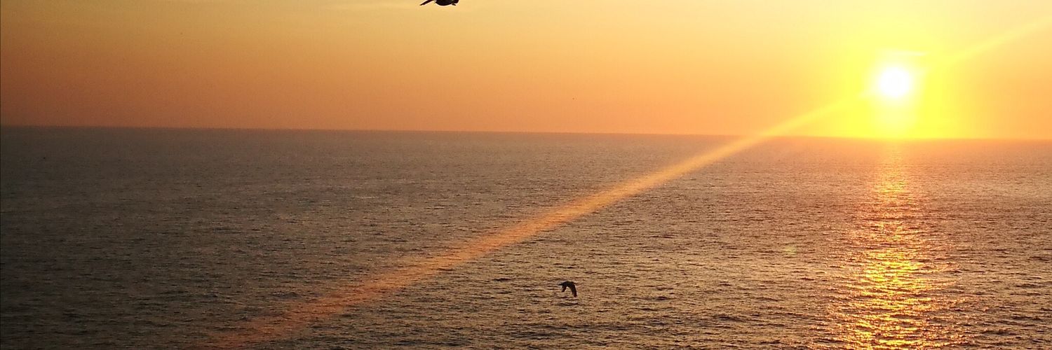 MartaTergolina's profile banner image