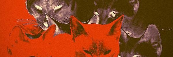 Lighghtin's profile banner image