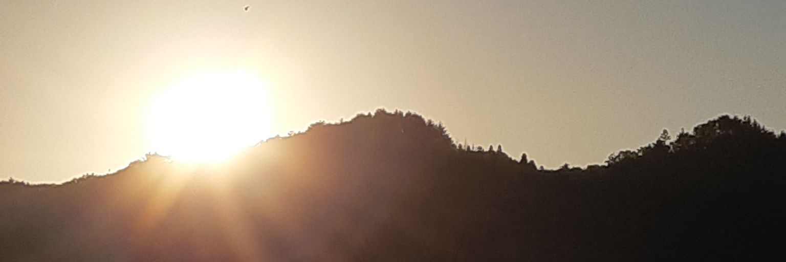 しのぶ banner