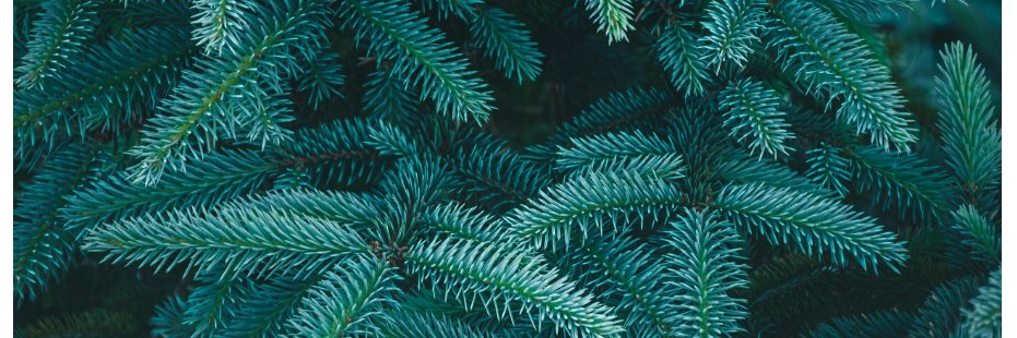 sjaLarry's profile banner image