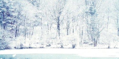 ShcdesOfWinter's profile banner image
