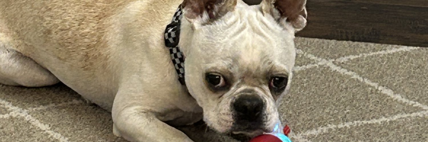 Petsmart1968's profile banner image