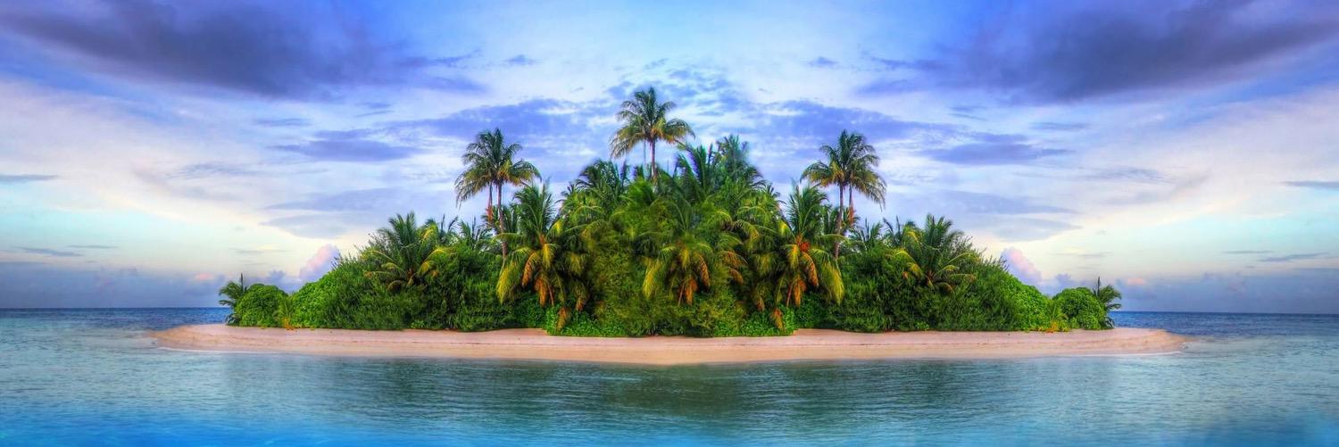 EllaConverse's profile banner image