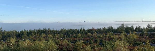 lifeatdal Profile Banner