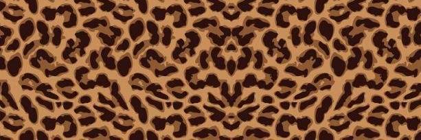 ascodevidaesta's profile banner image