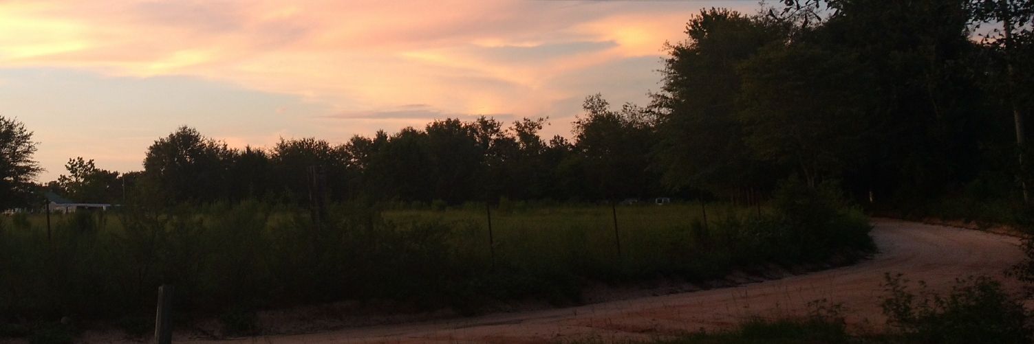 emilylorain's profile banner image