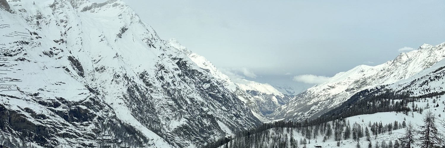 nickrapcham's profile banner image