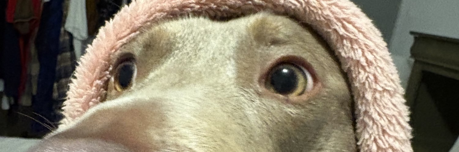 __CChavez's profile banner image