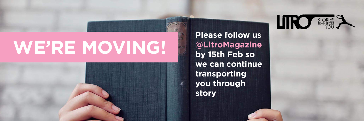 LitroMagazine banner