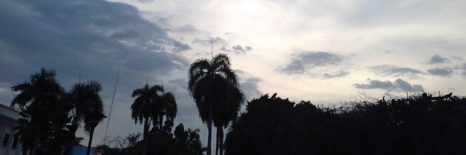 janeiriB's profile banner image