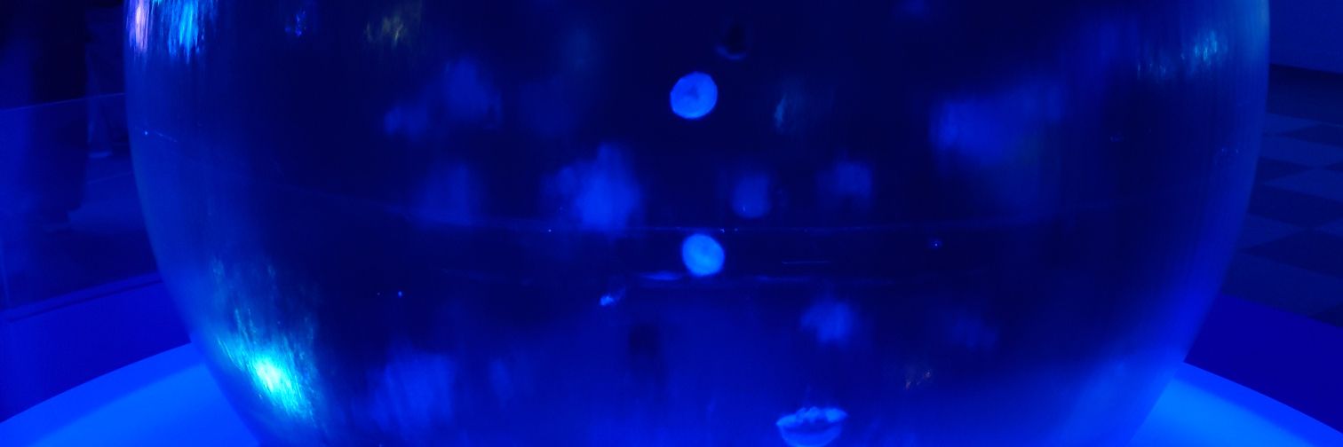 risa_903's profile banner image