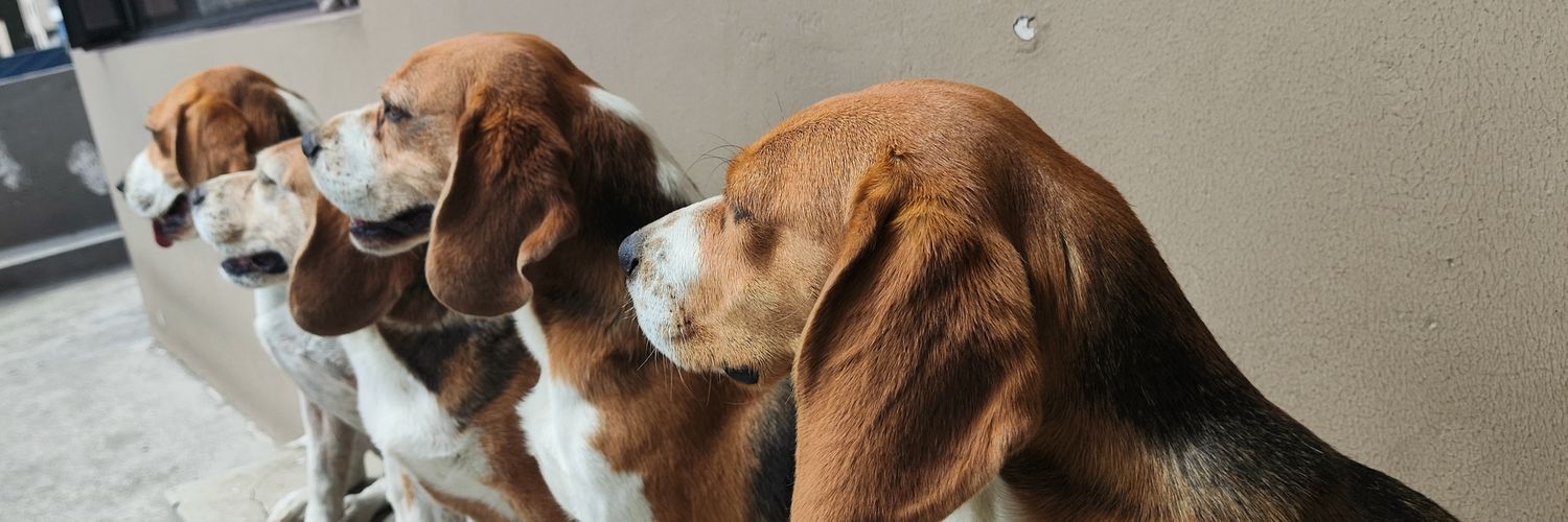 Danilo Román Melo banner